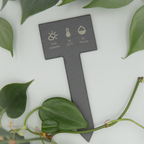 Ein schwarzes Schild aus Schiefer mit eingravierten Pflegesymbolen und Hinweisen („Halbschatten“, „18–25 °C“, „2x Monat“) liegt flach auf einer weißen Oberfläche, umrahmt von mehreren grünen Philodendron-Blättern, die ringsherum verteilt sind. Das Schild ist zentral im Bild platziert.