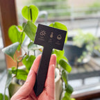 Eine Hand hält ein schwarzes Pflanzschild aus Schiefer vor einen Blumentopf mit grüner Philodendron-Pflanze. Auf dem Schild sind drei Symbole und Hinweise zur Pflege eingraviert: „Halbschatten“, „18–25 °C“ und „2x Monat“ (gießen). Im Hintergrund sind weitere Blumentöpfe und ein Fenster mit Tageslicht zu sehen.